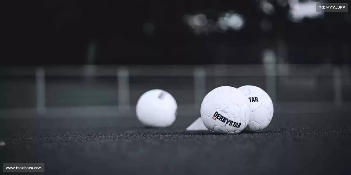 为什么选择我们